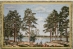 Свежий ветер (110х70) 